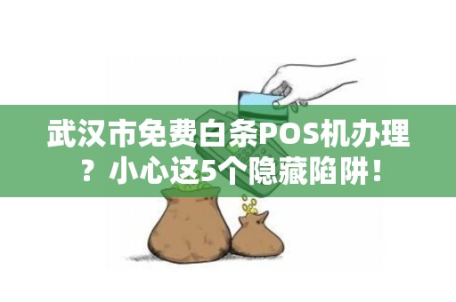 武汉市免费白条POS机办理？小心这5个隐藏陷阱！