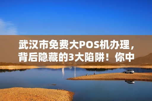 武汉市免费大POS机办理，背后隐藏的3大陷阱！你中招了吗？