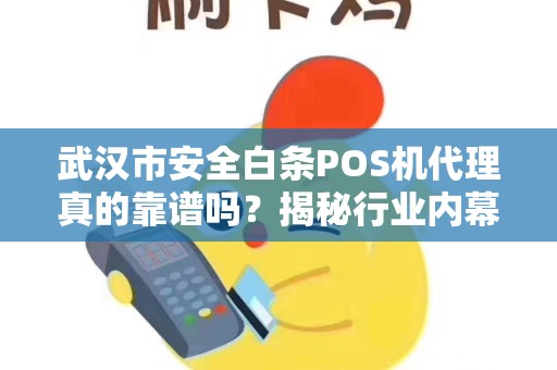 武汉市安全白条POS机代理真的靠谱吗？揭秘行业内幕与避坑指南！