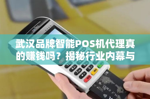武汉品牌智能POS机代理真的赚钱吗？揭秘行业内幕与避坑指南！