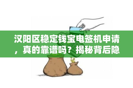 汉阳区稳定钱宝电签机申请，真的靠谱吗？揭秘背后隐藏的5大风险！