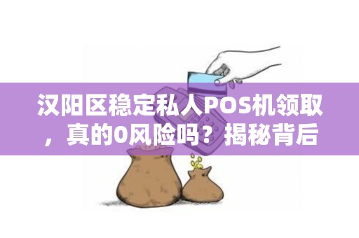 汉阳区稳定私人POS机领取，真的0风险吗？揭秘背后隐藏的5大陷阱！