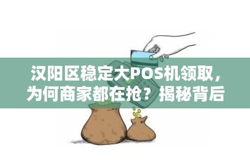 汉阳区稳定大POS机领取，为何商家都在抢？揭秘背后隐藏的3大福利！