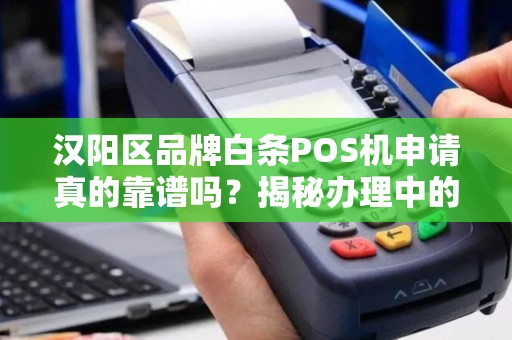 汉阳区品牌白条POS机申请真的靠谱吗？揭秘办理中的5大陷阱！