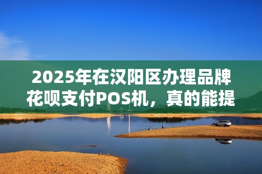 2025年在汉阳区办理品牌花呗支付POS机，真的能提升店铺业绩吗？