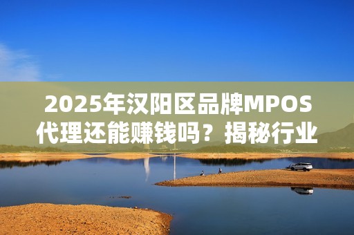 2025年汉阳区品牌MPOS代理还能赚钱吗？揭秘行业现状与未来趋势！