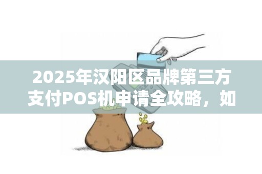 2025年汉阳区品牌第三方支付POS机申请全攻略，如何选择最适合你的支付方案？