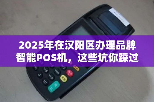 2025年在汉阳区办理品牌智能POS机，这些坑你踩过吗？