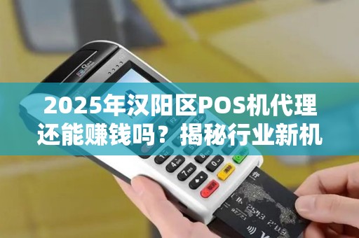 2025年汉阳区POS机代理还能赚钱吗？揭秘行业新机遇与挑战