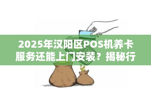 2025年汉阳区POS机养卡服务还能上门安装？揭秘行业新趋势！