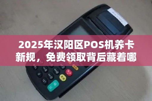 2025年汉阳区POS机养卡新规，免费领取背后藏着哪些不为人知的秘密？