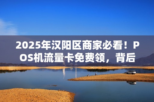 2025年汉阳区商家必看！POS机流量卡免费领，背后藏着哪些不为人知的秘密？