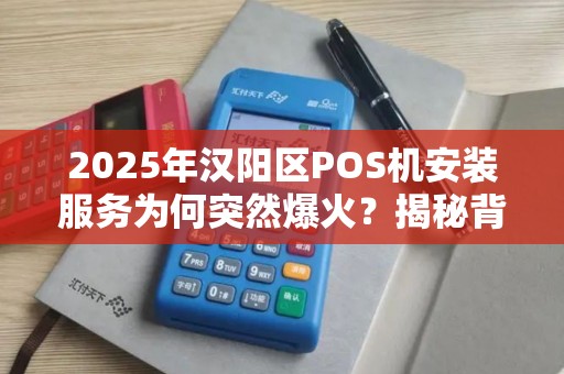 2025年汉阳区POS机安装服务为何突然爆火？揭秘背后三大原因！
