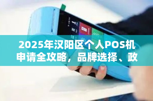 2025年汉阳区个人POS机申请全攻略，品牌选择、政策解读与避坑指南