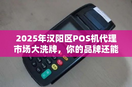 2025年汉阳区POS机代理市场大洗牌，你的品牌还能站稳脚跟吗？