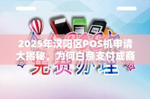 2025年汉阳区POS机申请大揭秘，为何白条支付成商家新宠？