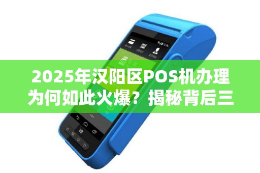 2025年汉阳区POS机办理为何如此火爆？揭秘背后三大原因！