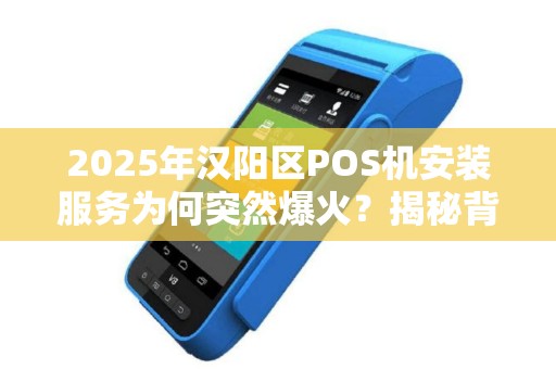 2025年汉阳区POS机安装服务为何突然爆火？揭秘背后三大原因！
