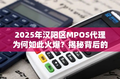 2025年汉阳区MPOS代理为何如此火爆？揭秘背后的三大原因！
