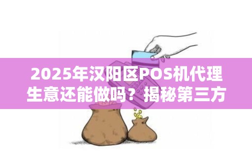 2025年汉阳区POS机代理生意还能做吗？揭秘第三方支付的财富密码！