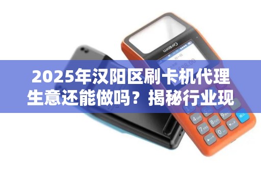 2025年汉阳区刷卡机代理生意还能做吗？揭秘行业现状与赚钱秘籍！