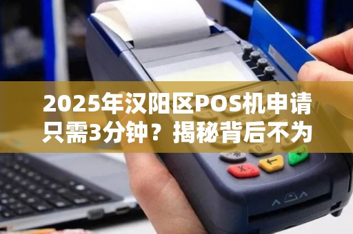2025年汉阳区POS机申请只需3分钟？揭秘背后不为人知的便捷真相！