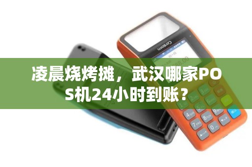 凌晨烧烤摊，武汉哪家POS机24小时到账？