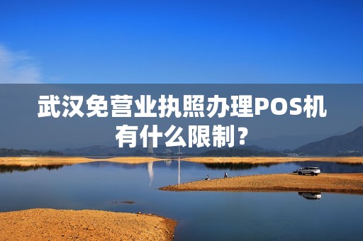 武汉免营业执照办理POS机有什么限制？