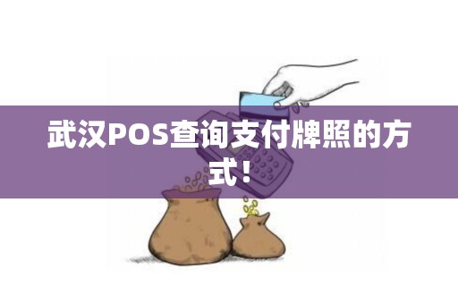 武汉POS查询支付牌照的方式！