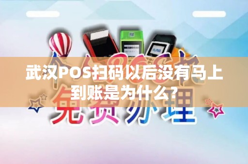 武汉POS扫码以后没有马上到账是为什么？