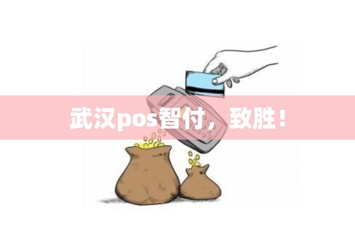 武汉pos智付，致胜！