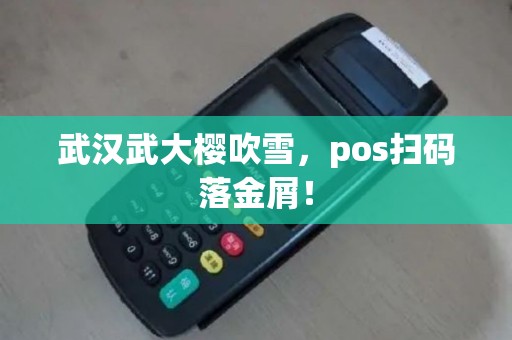 武汉武大樱吹雪，pos扫码落金屑！