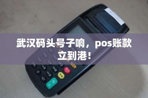 武汉码头号子响，pos账款立到港！