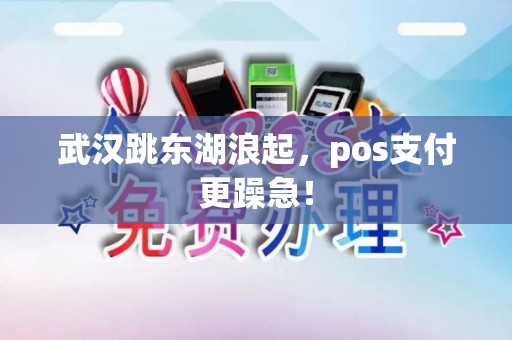 武汉跳东湖浪起，pos支付更躁急！