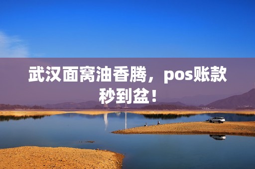 武汉面窝油香腾，pos账款秒到盆！