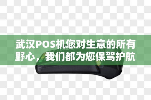 武汉POS机您对生意的所有野心，我们都为您保驾护航