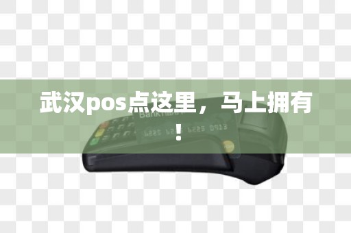 武汉pos点这里，马上拥有！