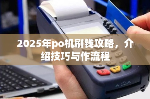 2025年po机刷钱攻略，介绍技巧与作流程