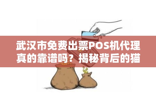 武汉市免费出票POS机代理真的靠谱吗？揭秘背后的猫腻！