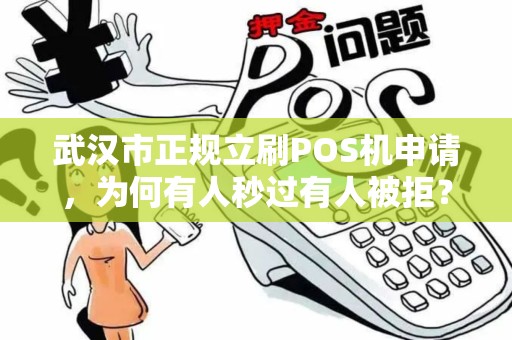 武汉市正规立刷POS机申请，为何有人秒过有人被拒？揭秘背后的5大关键因素！