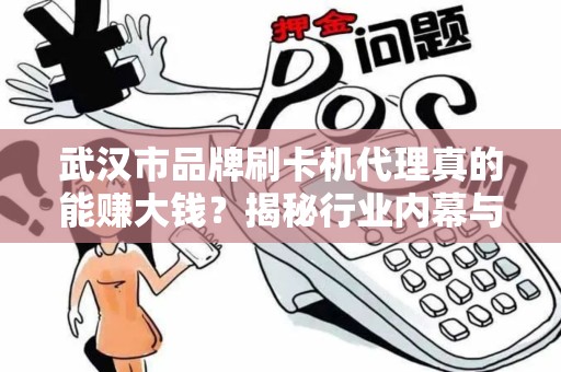 武汉市品牌刷卡机代理真的能赚大钱？揭秘行业内幕与避坑指南！