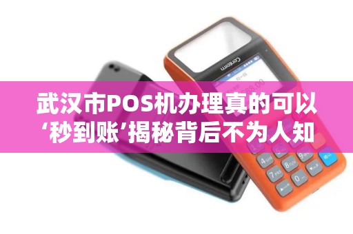 武汉市POS机办理真的可以‘秒到账’揭秘背后不为人知的3大陷阱！
