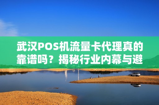 武汉POS机流量卡代理真的靠谱吗？揭秘行业内幕与避坑指南！