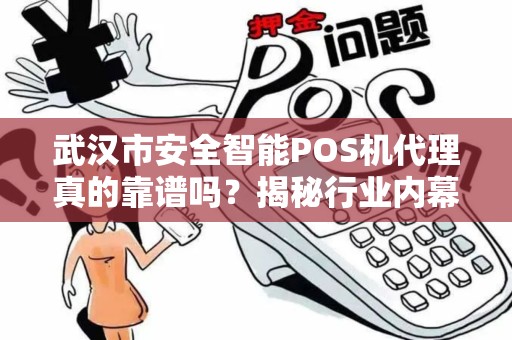 武汉市安全智能POS机代理真的靠谱吗？揭秘行业内幕与避坑指南！