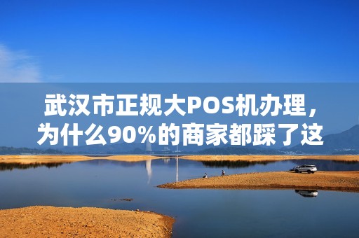 武汉市正规大POS机办理，为什么90%的商家都踩了这3个坑？