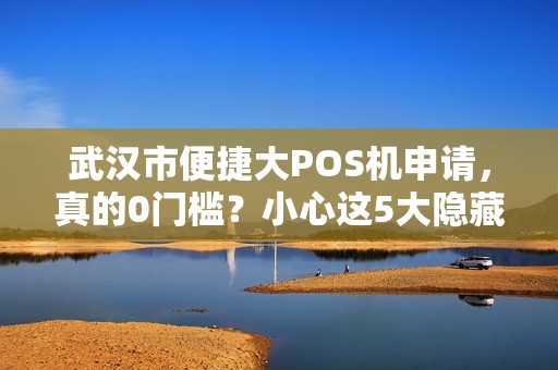 武汉市便捷大POS机申请，真的0门槛？小心这5大隐藏陷阱！