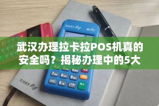 武汉办理拉卡拉POS机真的安全吗？揭秘办理中的5大陷阱与避坑指南！