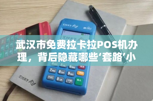 武汉市免费拉卡拉POS机办理，背后隐藏哪些‘套路’小心这些坑！