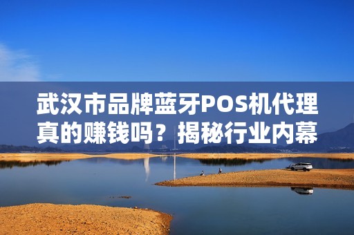 武汉市品牌蓝牙POS机代理真的赚钱吗？揭秘行业内幕与避坑指南！