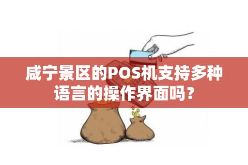 咸宁景区的POS机支持多种语言的操作界面吗？